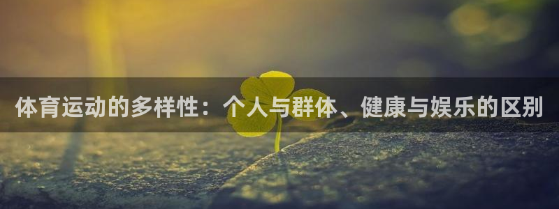 熊猫体育在线观看