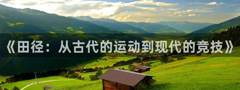 熊猫体育公园