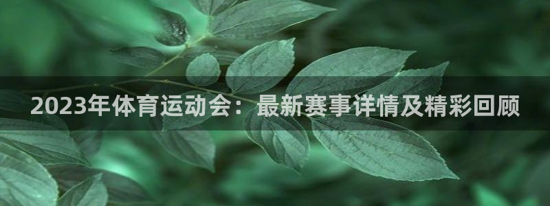 熊猫体育网址