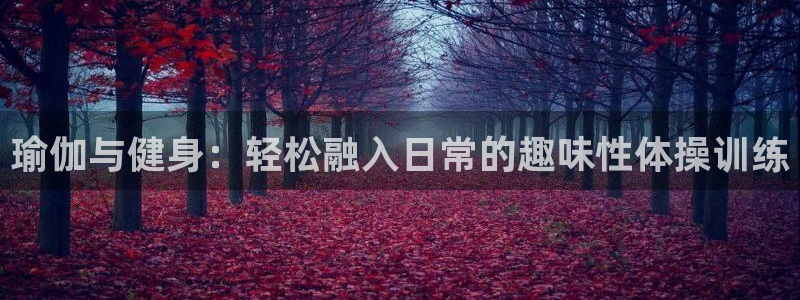 熊猫体育公园价格
