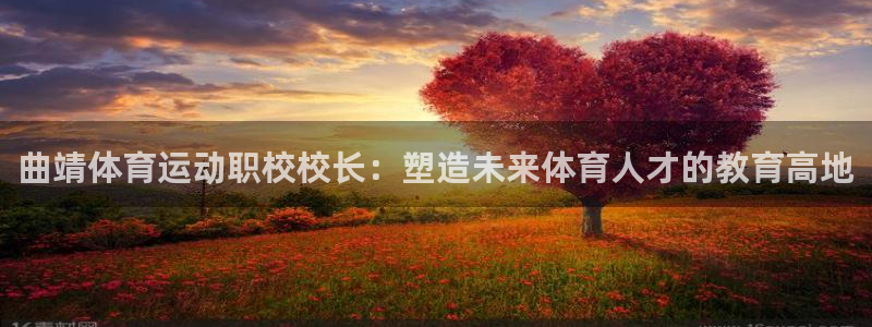 181熊猫体育