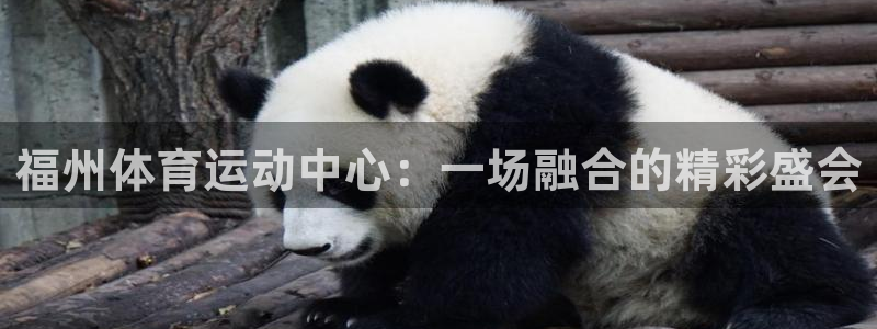 熊猫体育平台官网