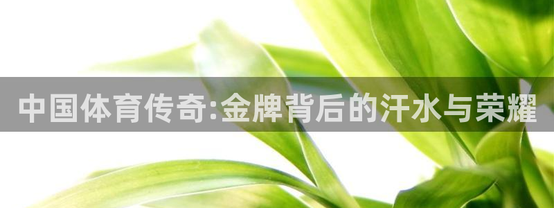 中山熊猫体育：中国体育传奇:金牌背后的汗水与荣耀