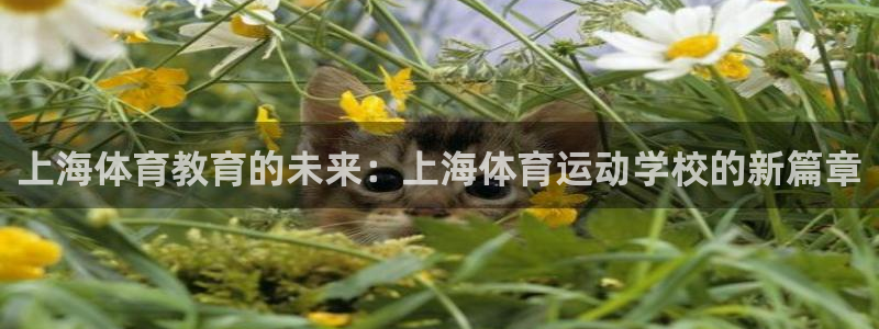 熊猫体育平台官网：上海体育教育的未来：上海体育运动学校的新篇章
