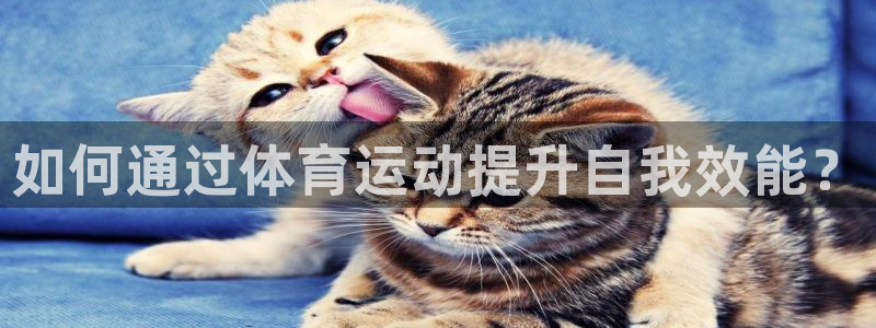 熊猫体育公园价格：如何通过体育运动提升自我效能？