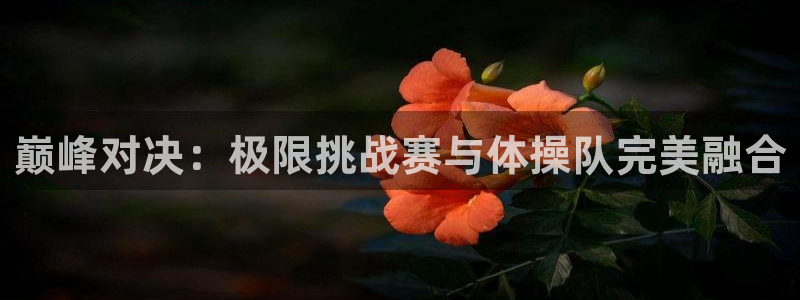 熊猫体育nba：巅峰对决：极限挑战赛与体操队完美融合