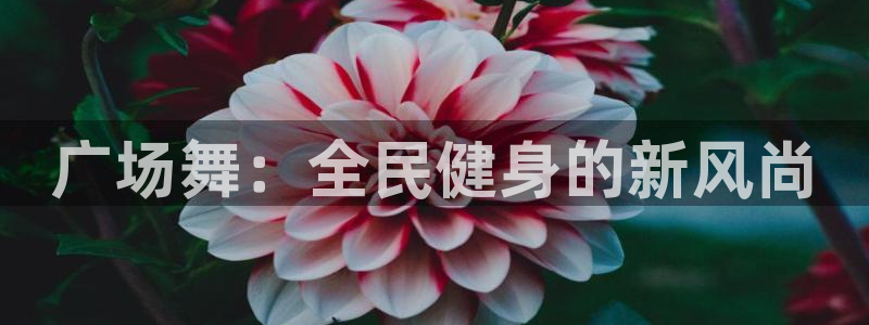 下载熊猫体育