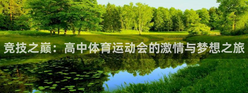 熊猫体育nba：竞技之巅：高中体育运动会的激情与梦想之旅