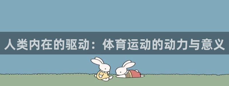熊猫体育怎么样
