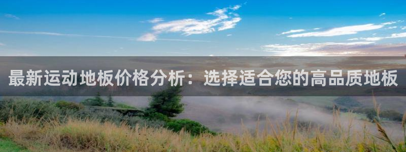 熊猫体育怎么样