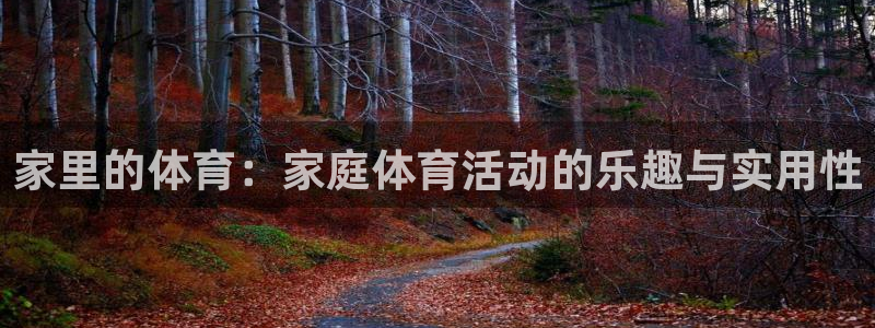 181熊猫体育