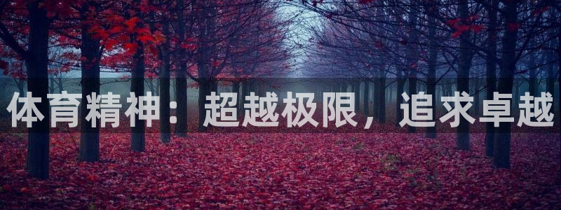 熊猫体育手机版：体育精神：超越极限，追求卓越