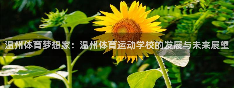 熊猫体育app官网入口：温州体育梦想家：温州体育运动学校的发展与未来展望