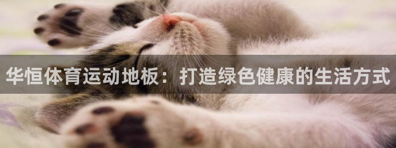 中山熊猫体育：华恒体育运动地板：打造绿色健康的生活方式