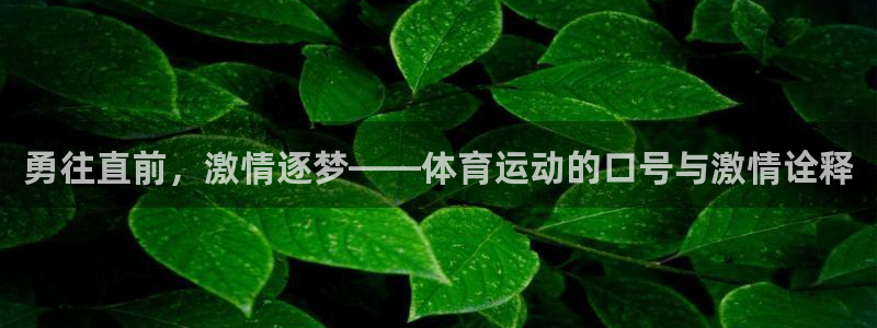 熊猫体育官网首页入口：勇往直前，激情逐梦——体育运动的口号与激情诠释